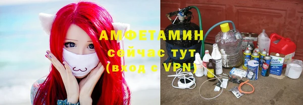 прущие грибы Белокуриха