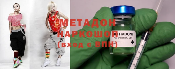 прущие грибы Белокуриха