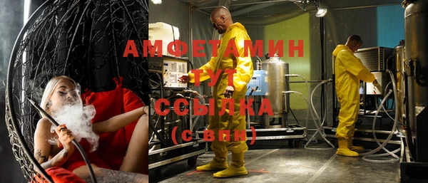 прущие грибы Белокуриха