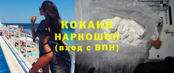 прущие грибы Белокуриха