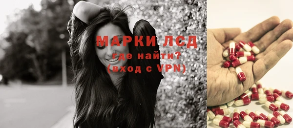 прущие грибы Белокуриха