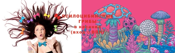 прущие грибы Белокуриха
