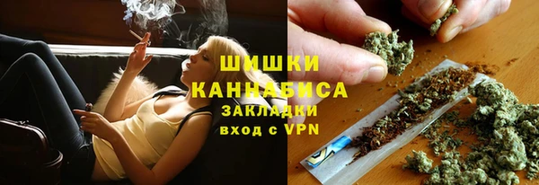 прущие грибы Белокуриха